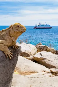 Travel Associates luxury travel wild wonders holiday