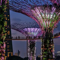 Luxury travel in Singapore