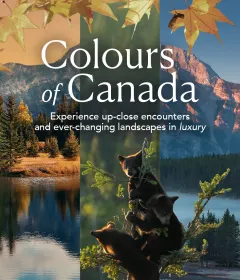 TA25206 Canada Fall + Spring Campaign_Oct25_Web_OfferTile.jpg