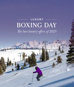 TA25293_Boxing Day Campaign_Web_Offertile.jpg