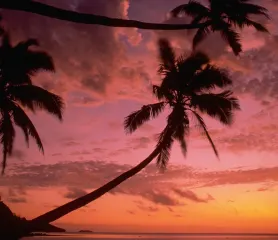 Marlin Bay Resort, luxury travel holiday, Fiji