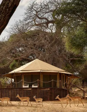 Swala Camp An A&K Sanctuary luxury hotel Tarangire National Park Tanzania