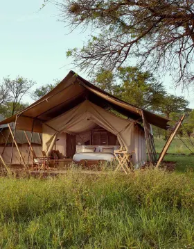 LABA Migration Camp luxury hotel Tanzania