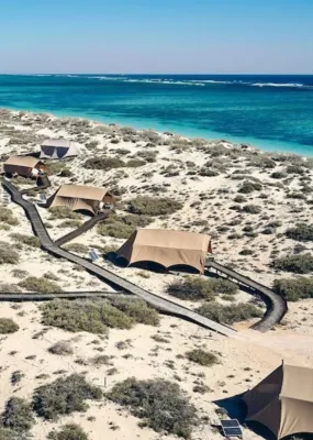 A luxury camp site with safari style tents by the ocean.