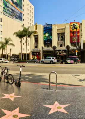The star-spangled sidewalk of the Hollywood walk of fame