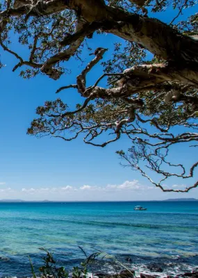 Trees overhanging calm blue waters