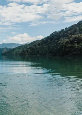 Sustainable NZ