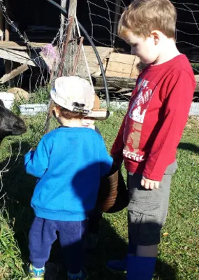 Kids petting a farm goat