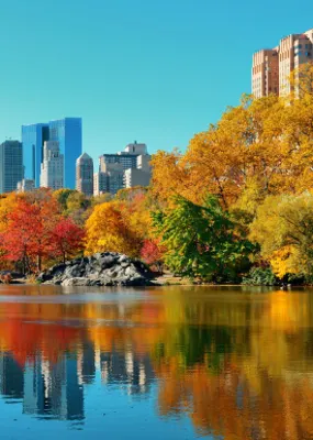 Trees with autumn leaves around lake in Central Park with New York City buildings in backgound