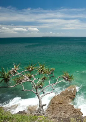 Waves splashing against the rocks at Noosa National Park