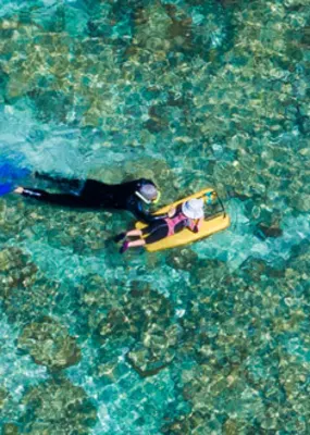 Lady Elliot Island by ben di