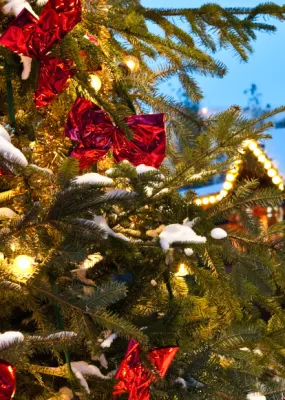 Christmas tree and people browsing the christmas market 