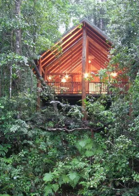 Beautiful cabin in the middle of the forest 