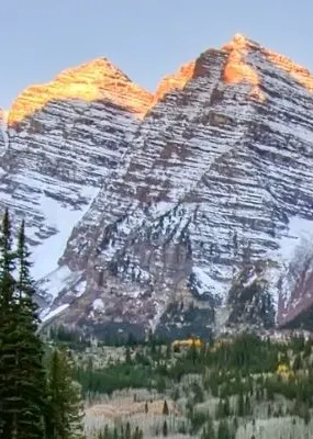 a view of the pine trees and mountain in colorado
