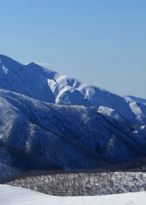 Snow capped mountains 