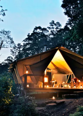 a well-lit glamping tent in the middle of the forest at night