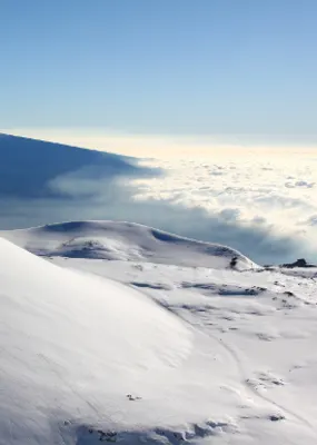 White snow 
