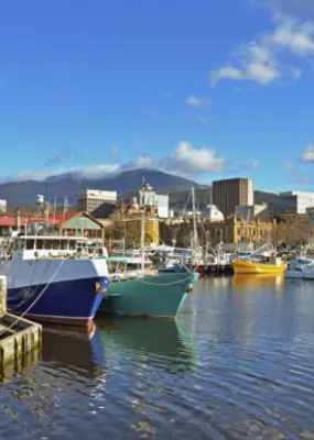 Colorful boats docked at the Port of Hobart