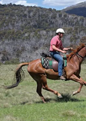 Man horse back riding in a field