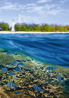 Clown fishes under the sea with corals and a light tower at the seashore