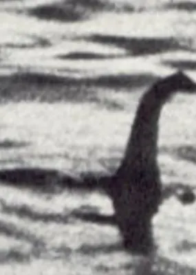 black and white photo of the loch ness monster