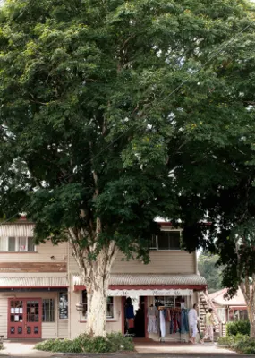 Maleny shop front and trees 