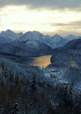 View of snow covered pine trees and mountains from New Schwanstein Castle