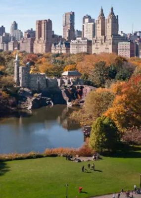 Overlooking Central Park with the New York City skyline in the background