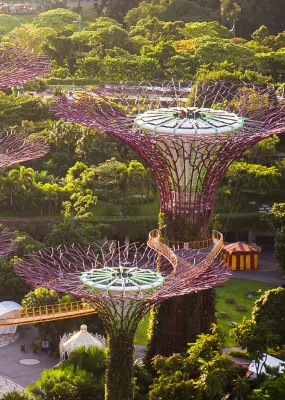 The majestic Gardens by the Bay in Singapore