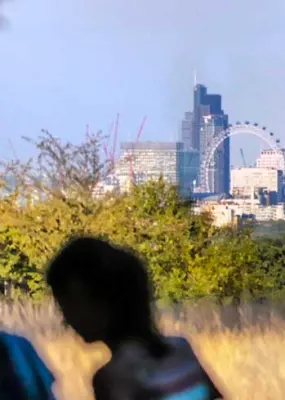 London skyline from Richmond Park 