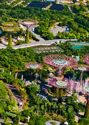 aerial view of Singapore greenery and infrastructure 