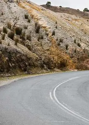 Winding road through vegetation 