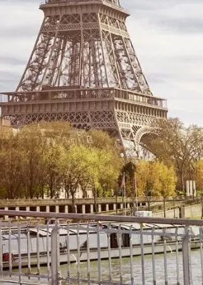 Femme and masculine presenting people stand on bridge over looking Seine River in Paris. the Eiffell Tower is in the background. 