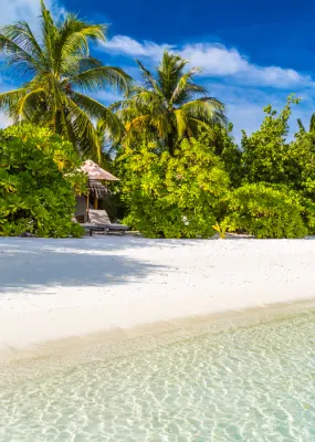 Beautiful tropical beach with crystal clear water