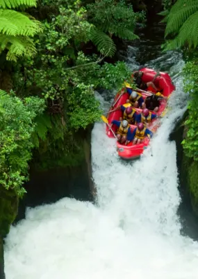 Jet boat on kaituna river NZ