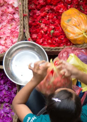 aerial view of person with spices