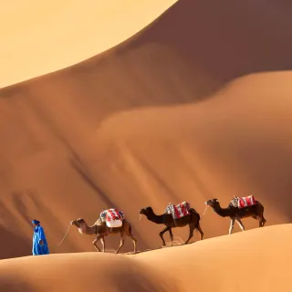 Sahara Desert luxury travel Morocco