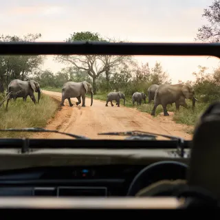 Luxury Travel Safari South Africa