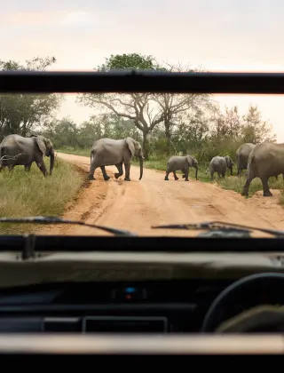 Luxury Travel Safari South Africa