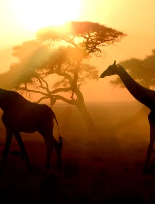 Africa luxury travel