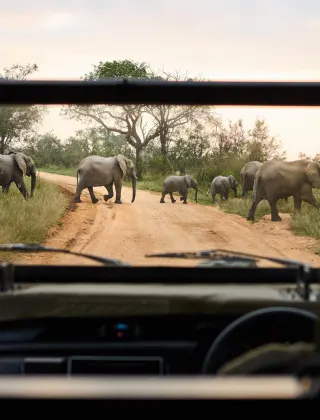 Luxury Travel Safari South Africa