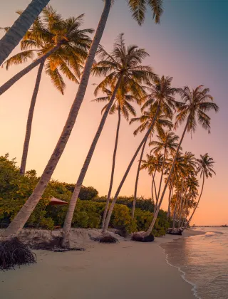 luxury travel holiday, Generic Islands