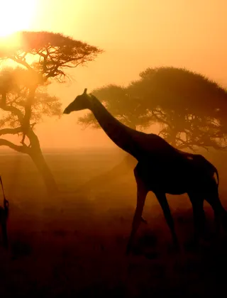 Africa luxury travel