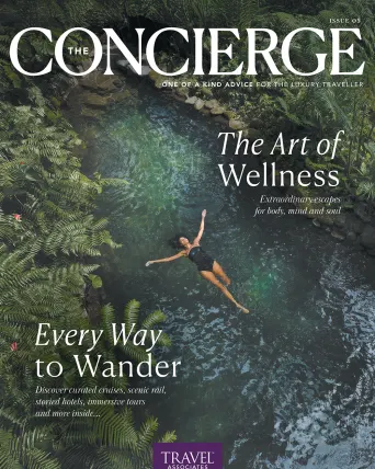 The Art of Wellness