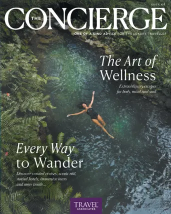 The Art of Wellness