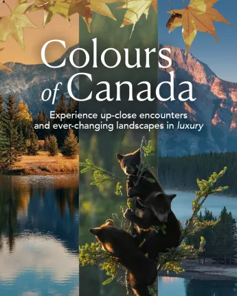 TA25206 Canada Fall + Spring Campaign_Oct25_Web_OfferTile.jpg