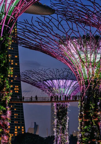 Luxury travel in Singapore