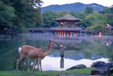 Itinerary details second image