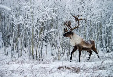 Itinerary details second image