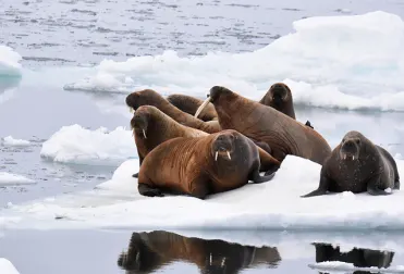 Itinerary details second image